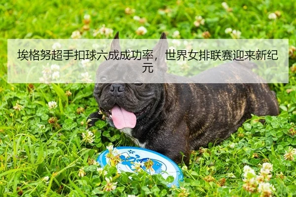 埃格努超手扣球六成成功率，世界女排联赛迎来新纪元